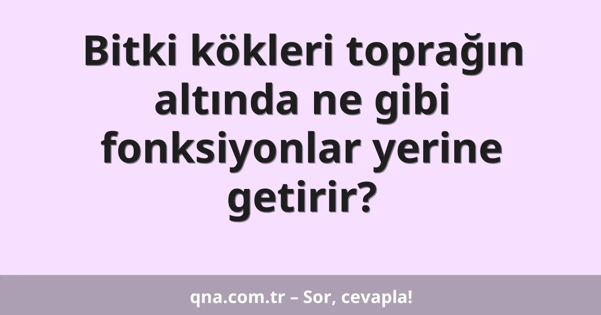 Bitki kökleri toprağın altında ne gibi fonksiyonlar yerine getirir?