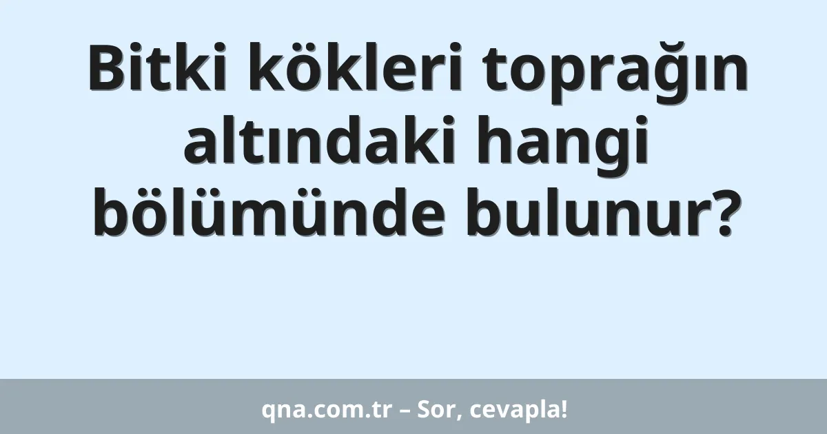Bitki kökleri toprağın altındaki hangi bölümünde bulunur?