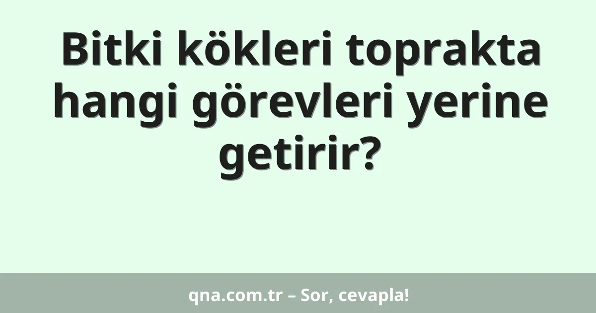 Bitki kökleri toprakta hangi görevleri yerine getirir?