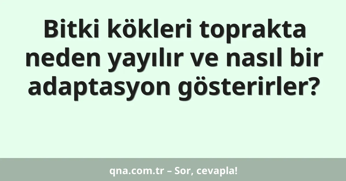 Bitki kökleri toprakta neden yayılır ve nasıl bir adaptasyon gösterirler?