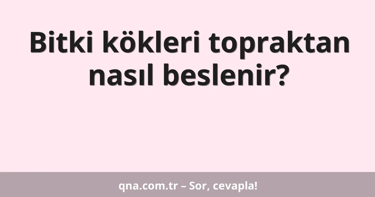 Bitki kökleri topraktan nasıl beslenir?