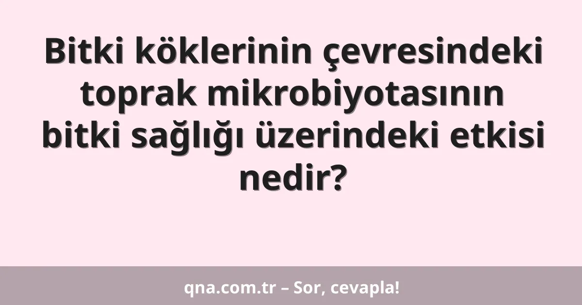 Bitki köklerinin çevresindeki toprak mikrobiyotasının bitki sağlığı üzerindeki etkisi nedir?