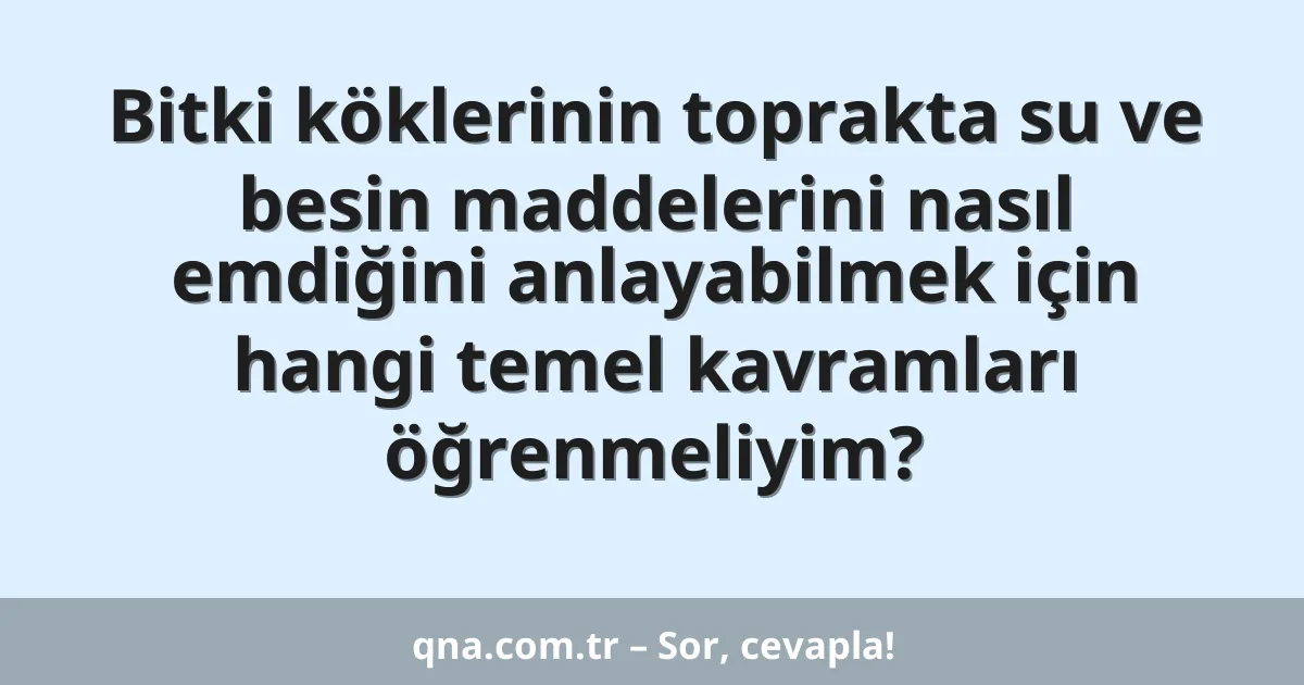 Bitki köklerinin toprakta su ve besin maddelerini nasıl emdiğini anlayabilmek için hangi temel kavramları öğrenmeliyim?
