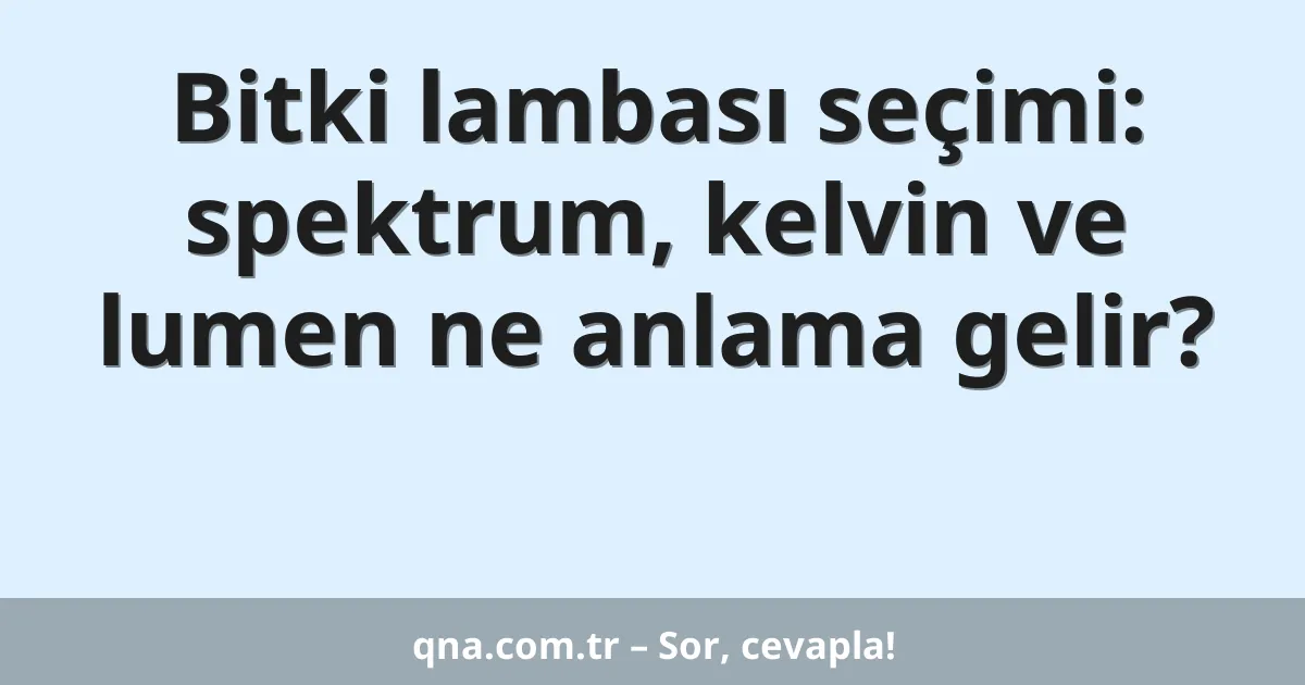 Bitki lambası seçimi: spektrum, kelvin ve lumen ne anlama gelir?