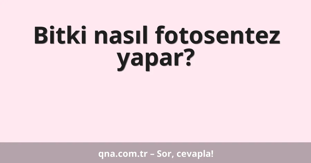 Bitki nasıl fotosentez yapar?