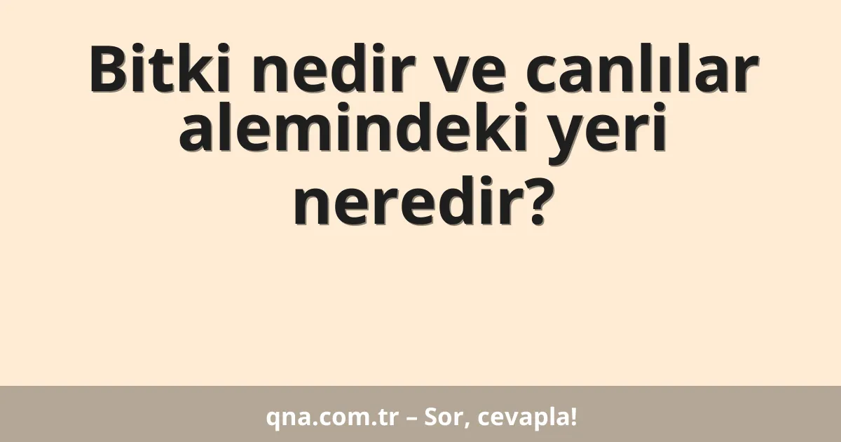 Bitki nedir ve canlılar alemindeki yeri neredir?