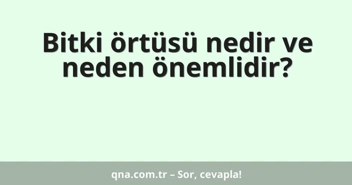 Bitki örtüsü nedir ve neden önemlidir?