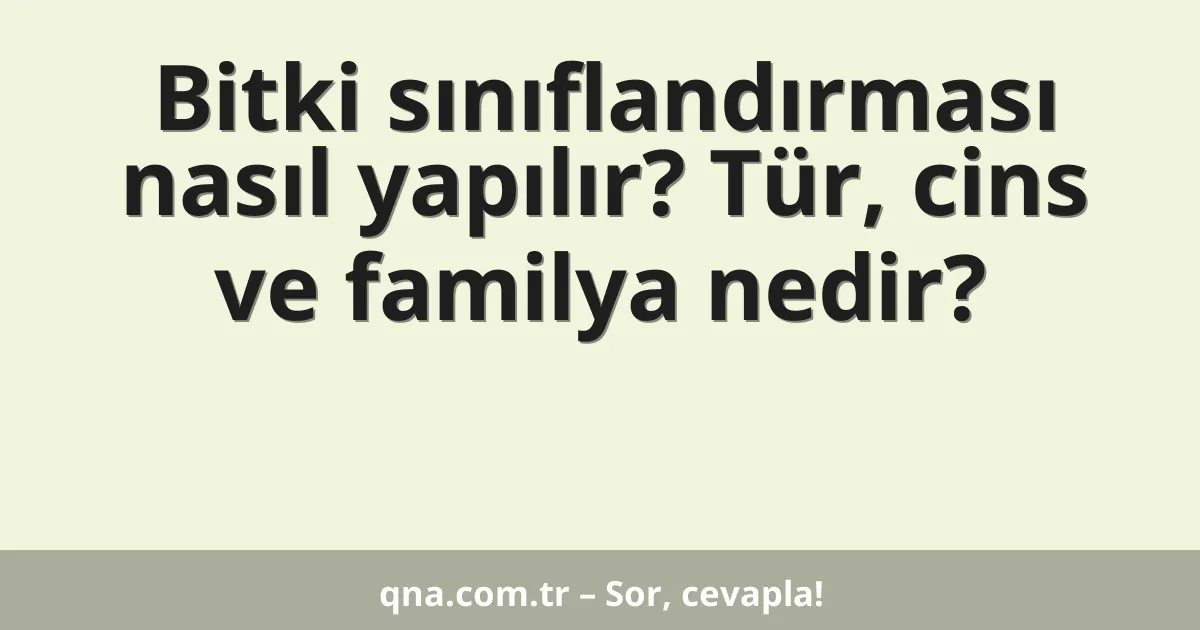 Bitki sınıflandırması nasıl yapılır? Tür, cins ve familya nedir?
