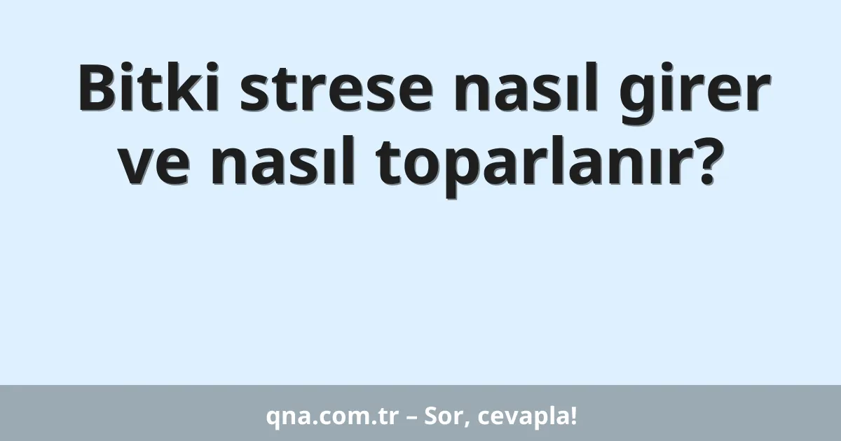 Bitki strese nasıl girer ve nasıl toparlanır?