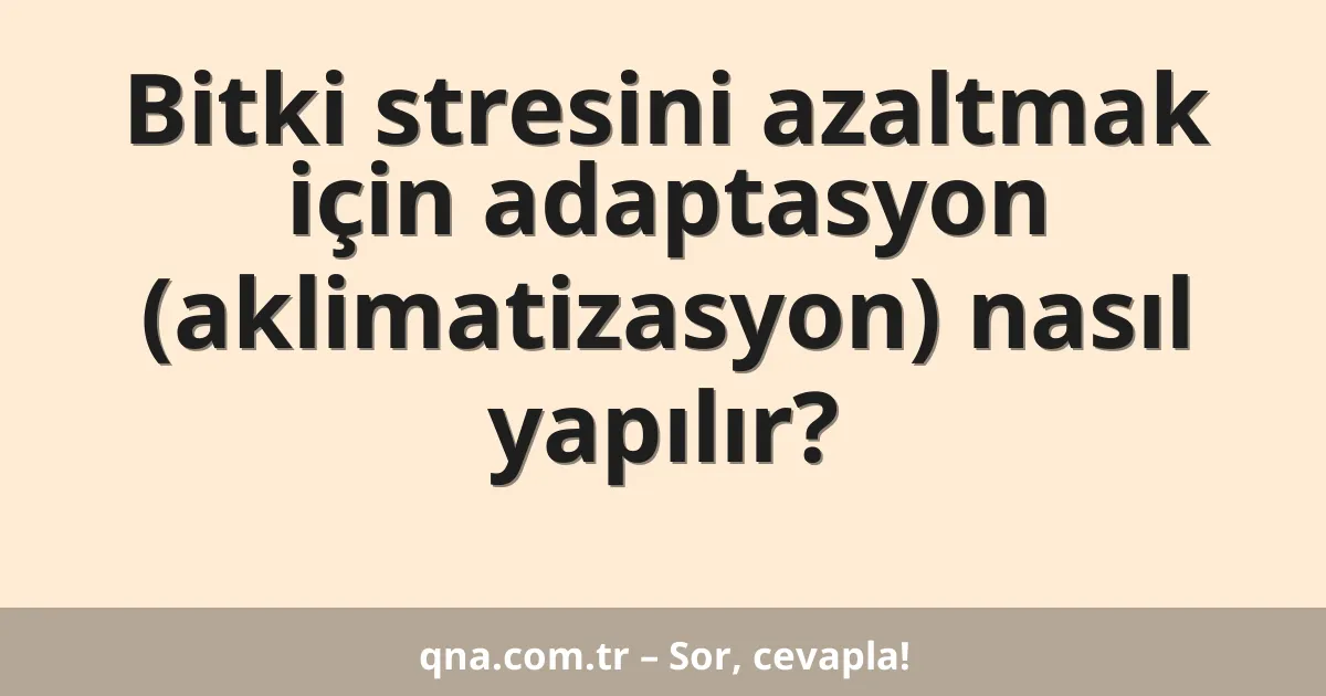 Bitki stresini azaltmak için adaptasyon (aklimatizasyon) nasıl yapılır?
