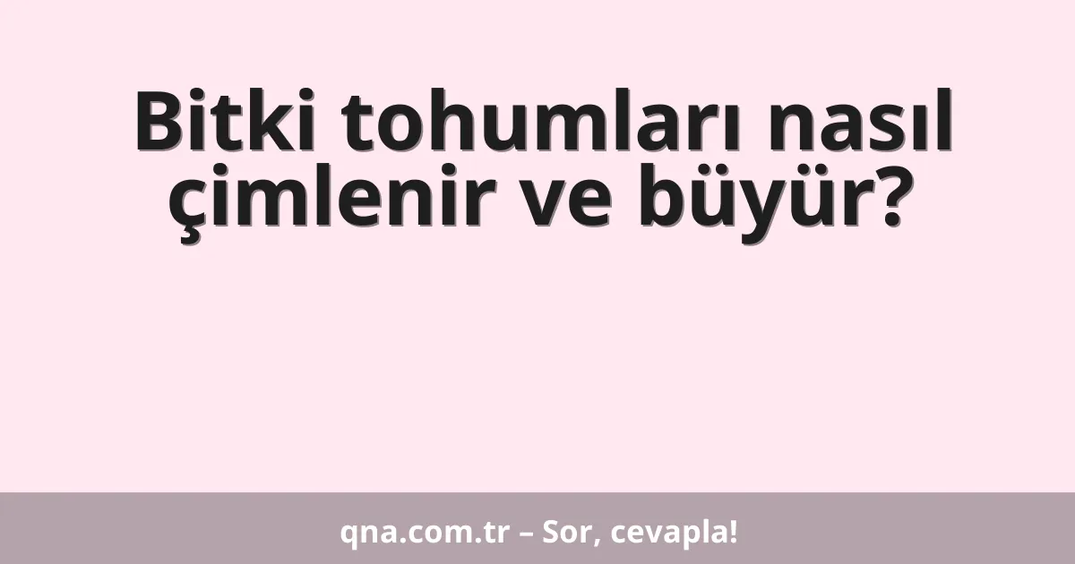 Bitki tohumları nasıl çimlenir ve büyür?