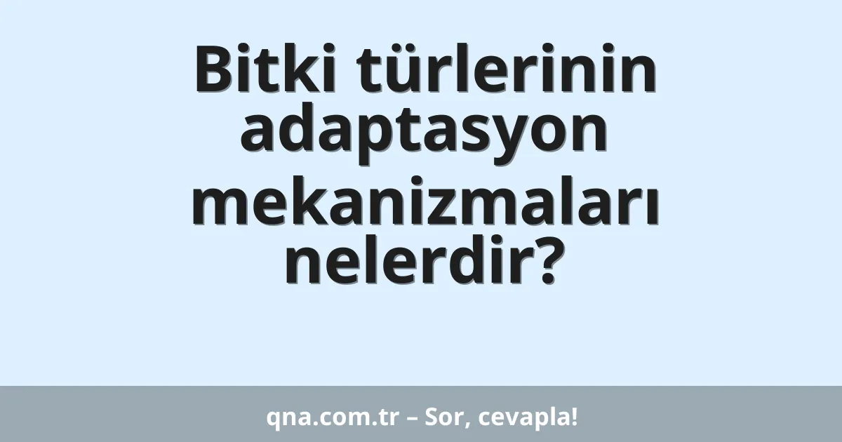 Bitki türlerinin adaptasyon mekanizmaları nelerdir?
