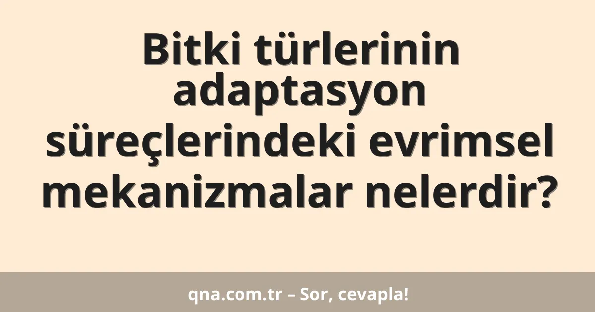 Bitki türlerinin adaptasyon süreçlerindeki evrimsel mekanizmalar nelerdir?