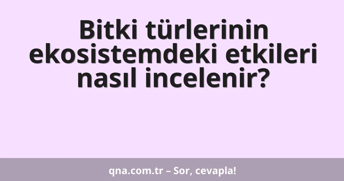 Bitki türlerinin ekosistemdeki etkileri nasıl incelenir?