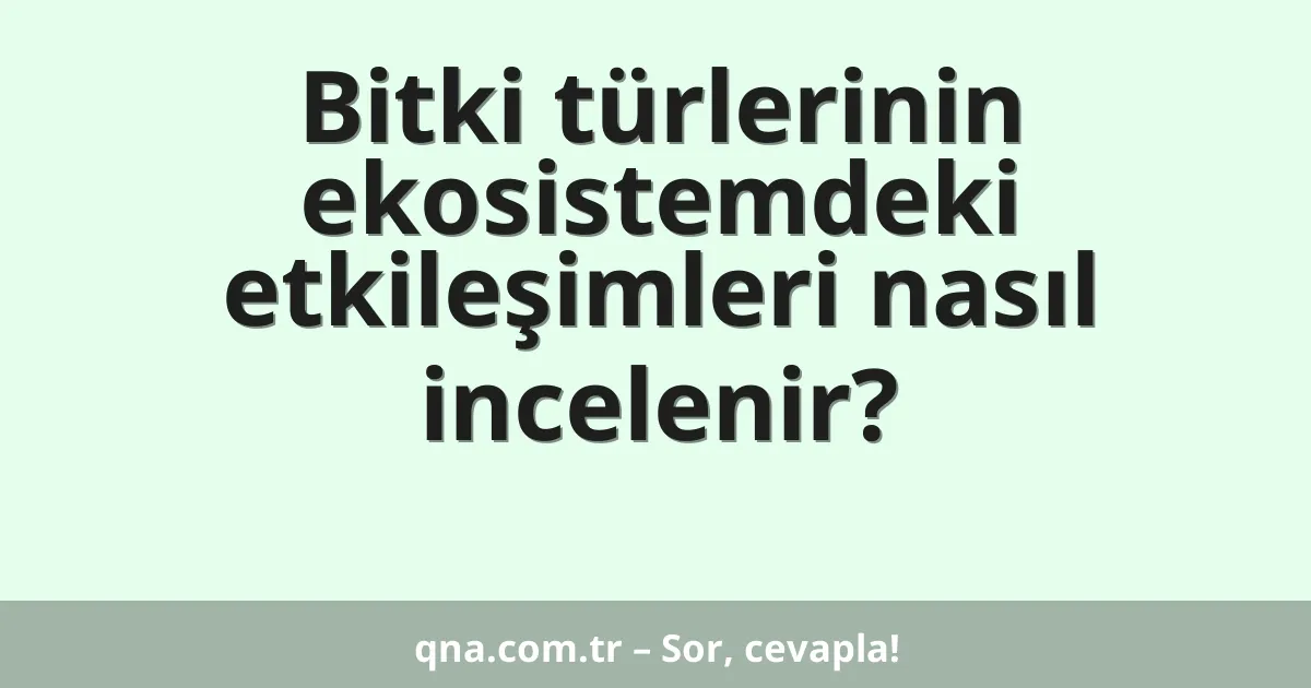 Bitki türlerinin ekosistemdeki etkileşimleri nasıl incelenir?