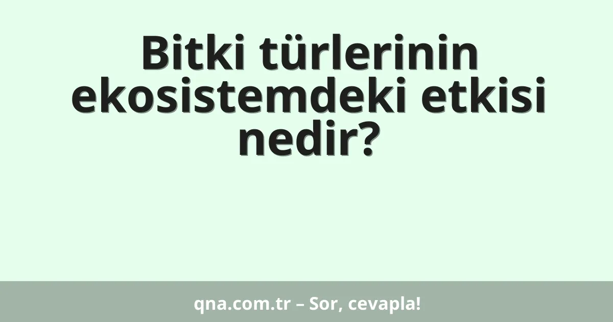 Bitki türlerinin ekosistemdeki etkisi nedir?
