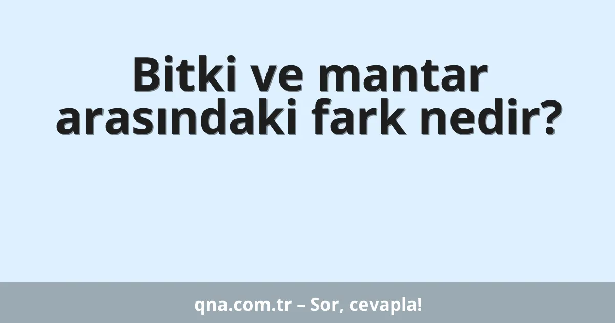 Bitki ve mantar arasındaki fark nedir?