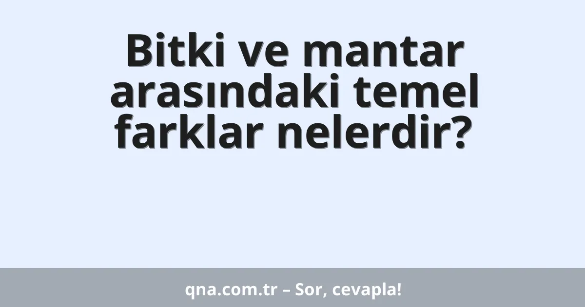 Bitki ve mantar arasındaki temel farklar nelerdir?