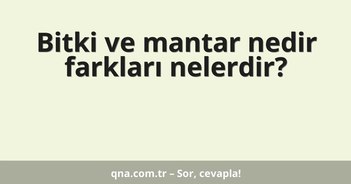 Bitki ve mantar nedir farkları nelerdir?