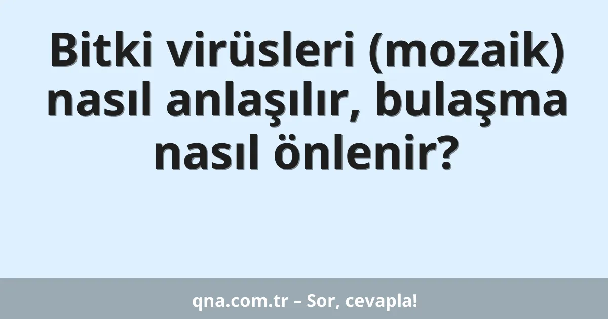 Bitki virüsleri (mozaik) nasıl anlaşılır, bulaşma nasıl önlenir?