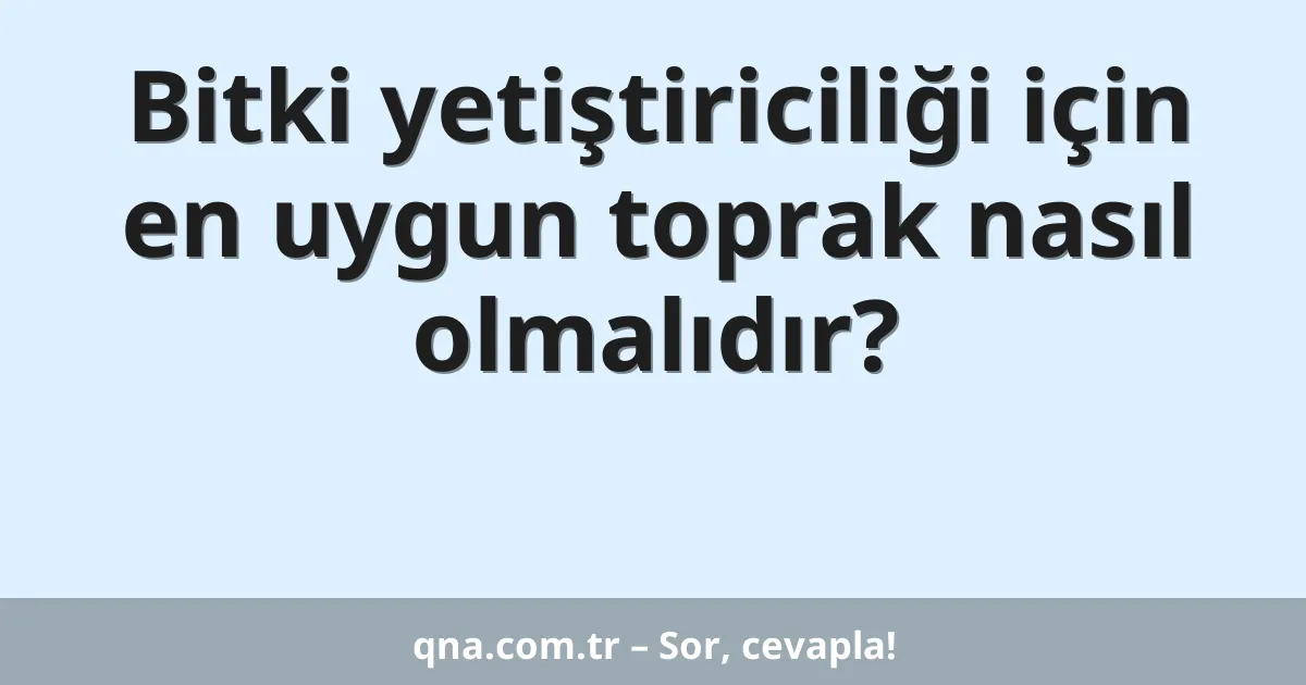 Bitki yetiştiriciliği için en uygun toprak nasıl olmalıdır?
