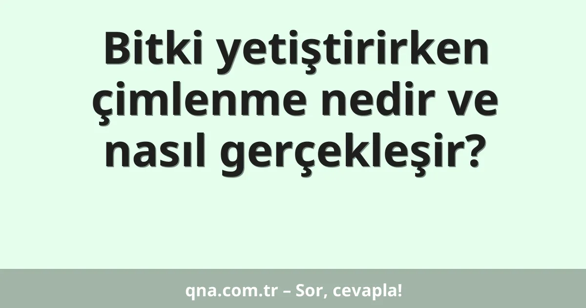 Bitki yetiştirirken çimlenme nedir ve nasıl gerçekleşir?