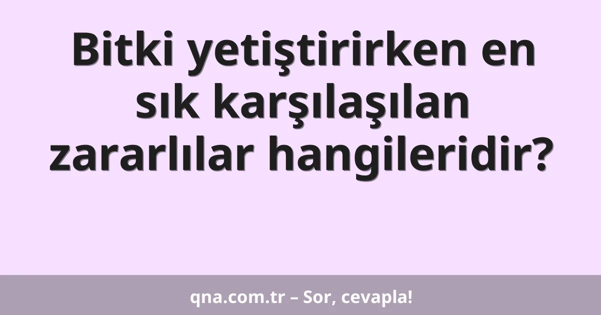 Bitki yetiştirirken en sık karşılaşılan zararlılar hangileridir?