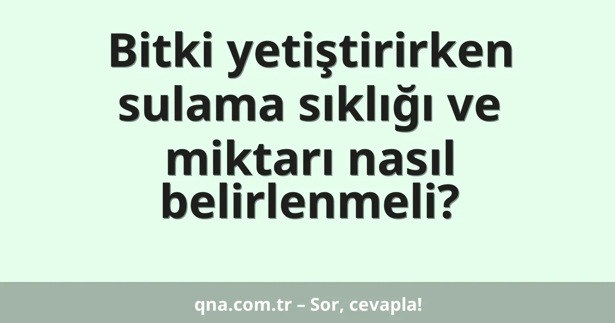 Bitki yetiştirirken sulama sıklığı ve miktarı nasıl belirlenmeli?