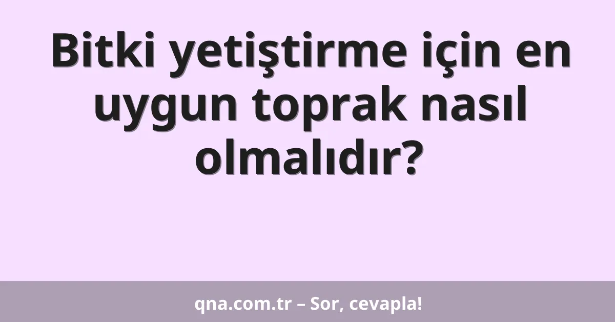 Bitki yetiştirme için en uygun toprak nasıl olmalıdır?