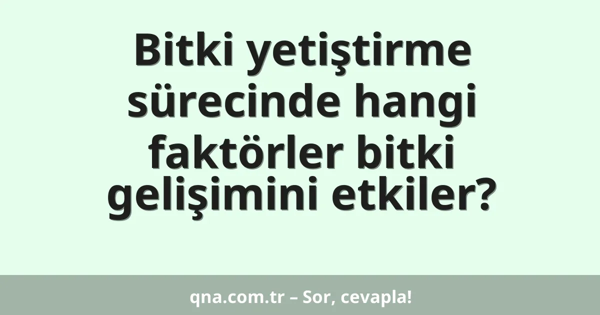 Bitki yetiştirme sürecinde hangi faktörler bitki gelişimini etkiler?