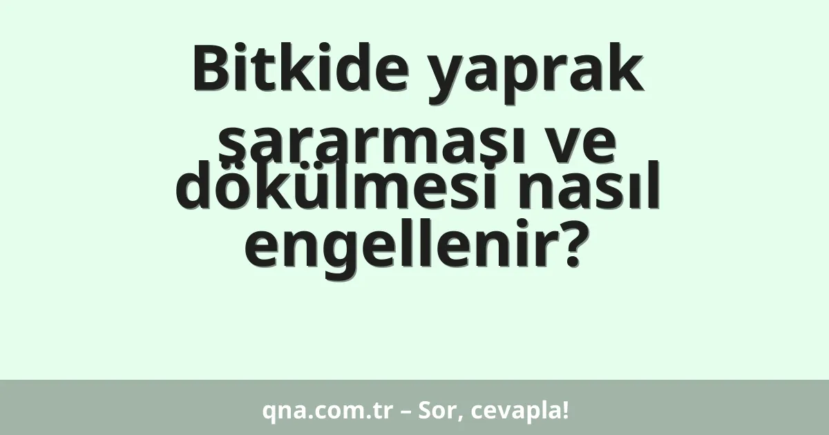 Bitkide yaprak sararması ve dökülmesi nasıl engellenir?