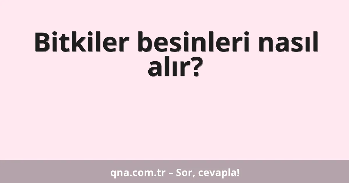 Bitkiler besinleri nasıl alır?