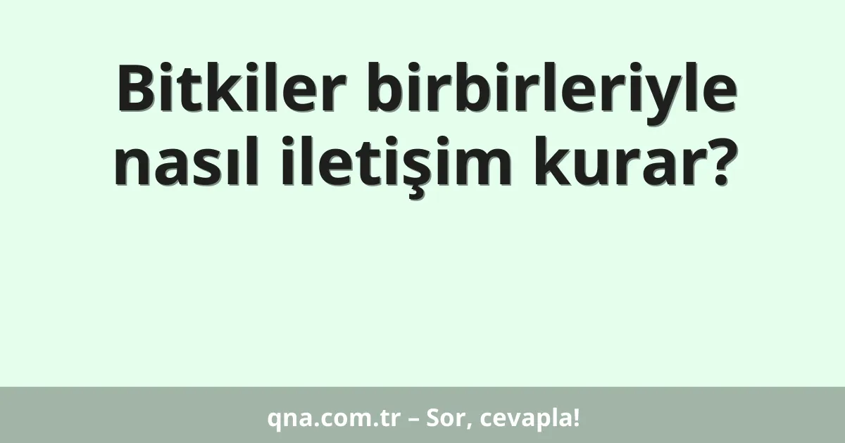 Bitkiler birbirleriyle nasıl iletişim kurar?