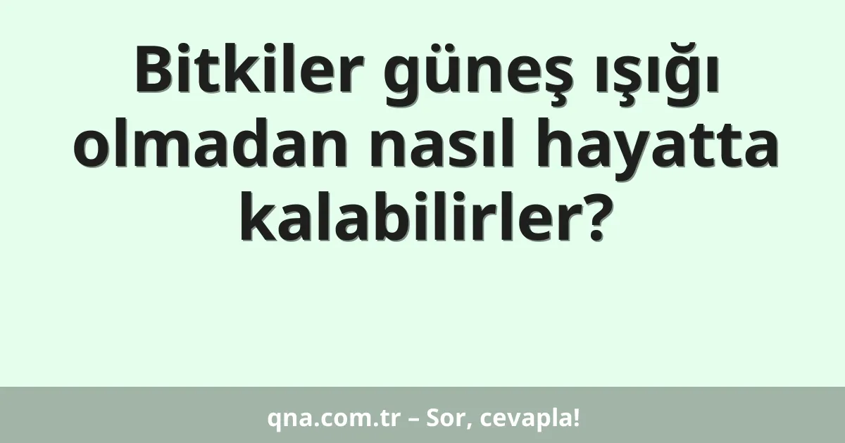 Bitkiler güneş ışığı olmadan nasıl hayatta kalabilirler?