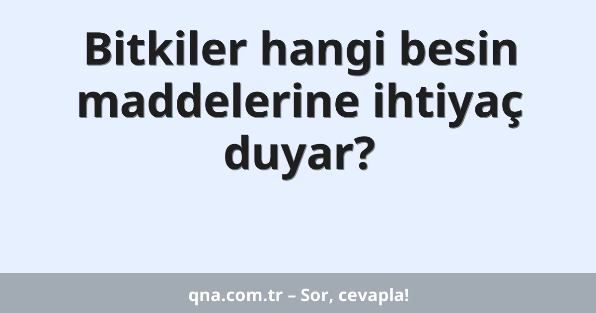 Bitkiler hangi besin maddelerine ihtiyaç duyar?