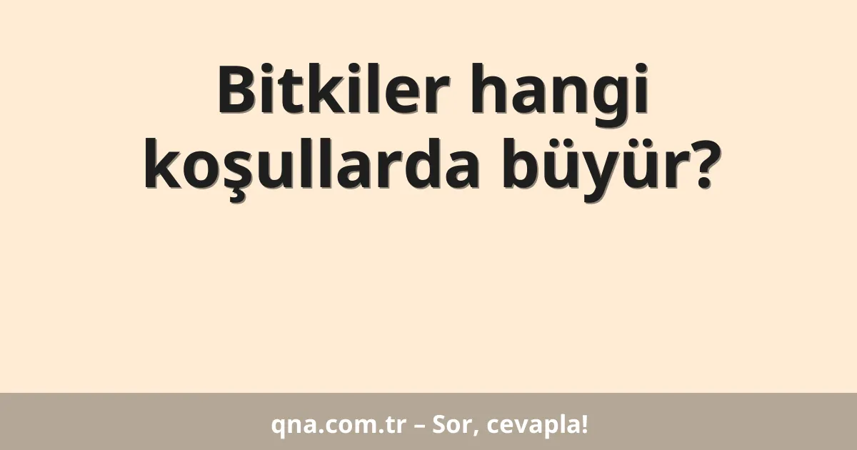 Bitkiler hangi koşullarda büyür?