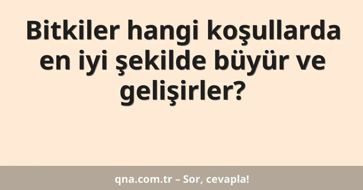 Bitkiler hangi koşullarda en iyi şekilde büyür ve gelişirler?