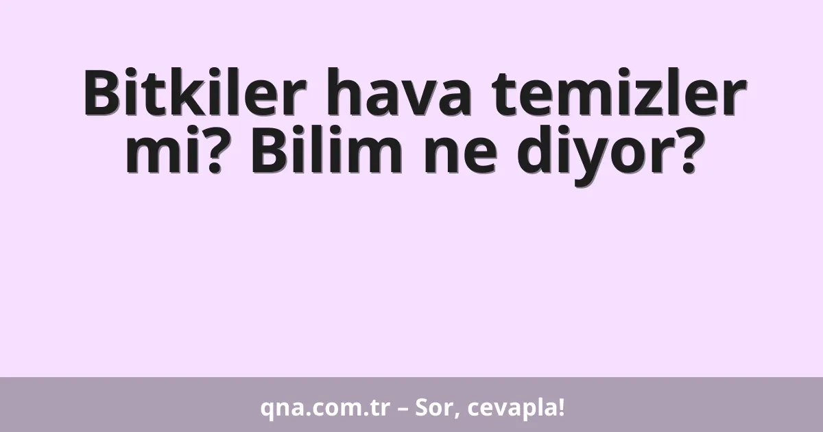 Bitkiler hava temizler mi? Bilim ne diyor?