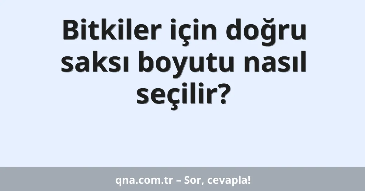 Bitkiler için doğru saksı boyutu nasıl seçilir?