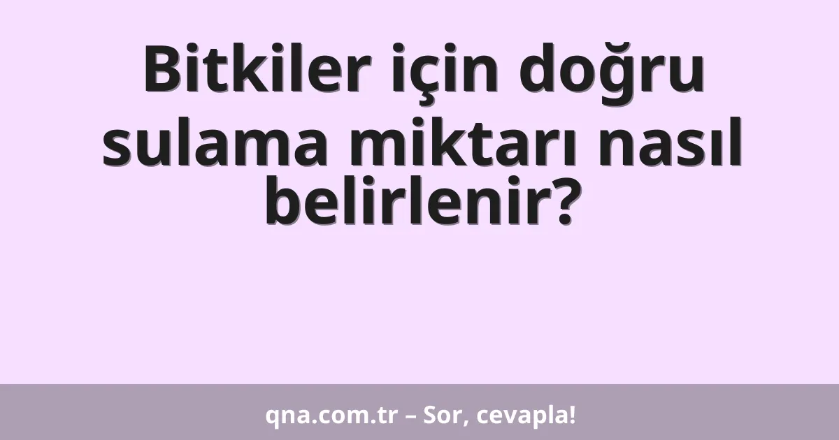 Bitkiler için doğru sulama miktarı nasıl belirlenir?