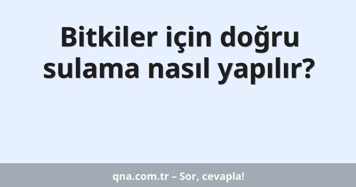 Bitkiler için doğru sulama nasıl yapılır?