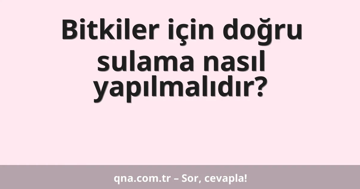 Bitkiler için doğru sulama nasıl yapılmalıdır?