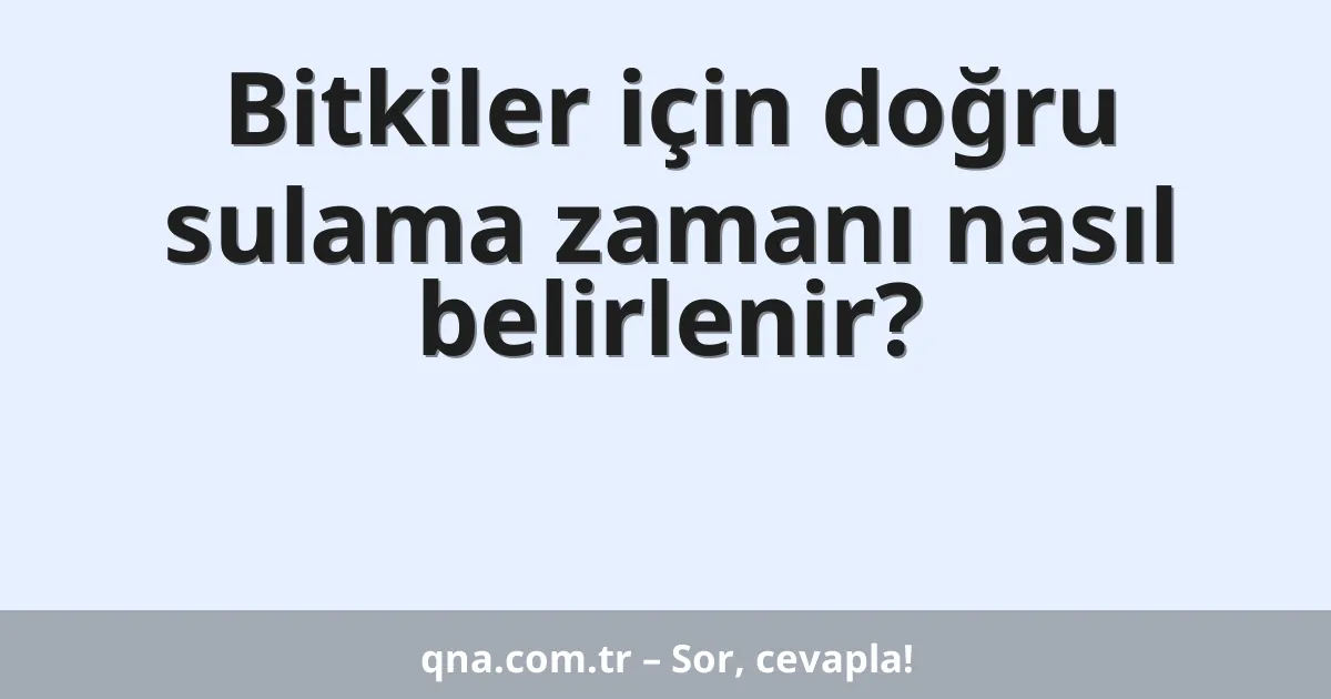 Bitkiler için doğru sulama zamanı nasıl belirlenir?