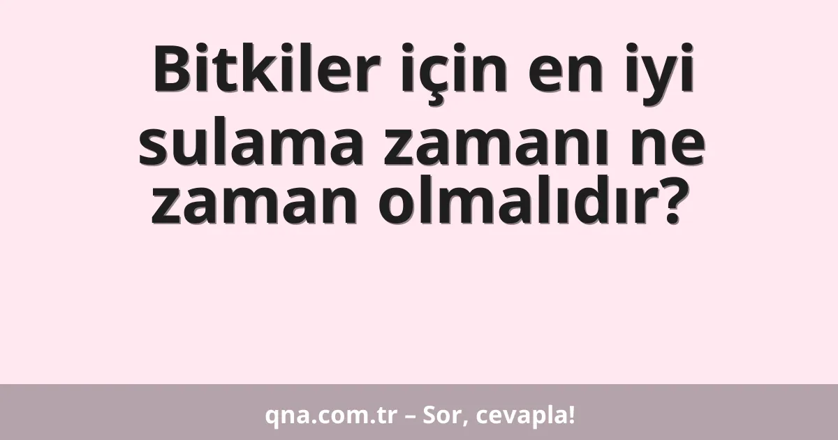 Bitkiler için en iyi sulama zamanı ne zaman olmalıdır?