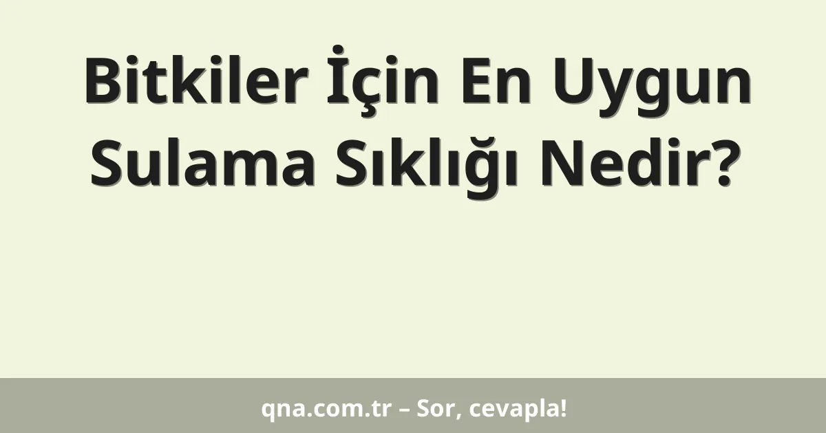 Bitkiler İçin En Uygun Sulama Sıklığı Nedir?