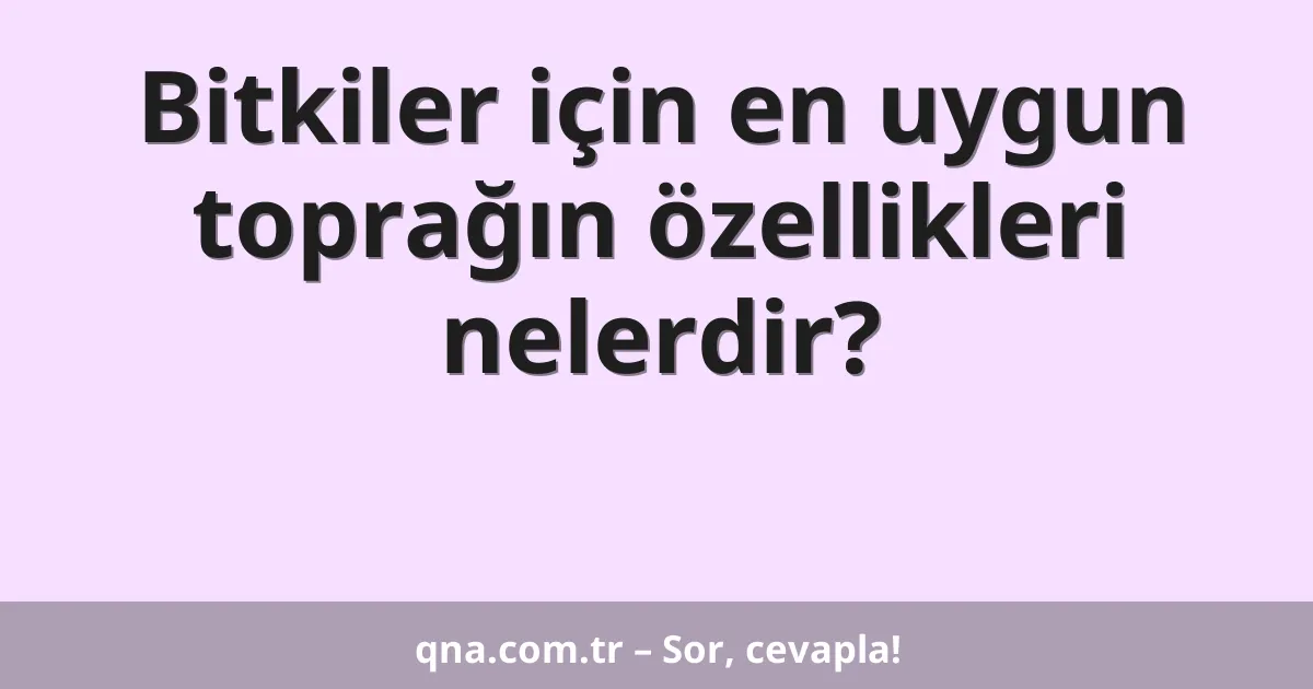 Bitkiler için en uygun toprağın özellikleri nelerdir?