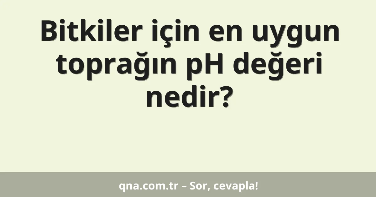 Bitkiler için en uygun toprağın pH değeri nedir?