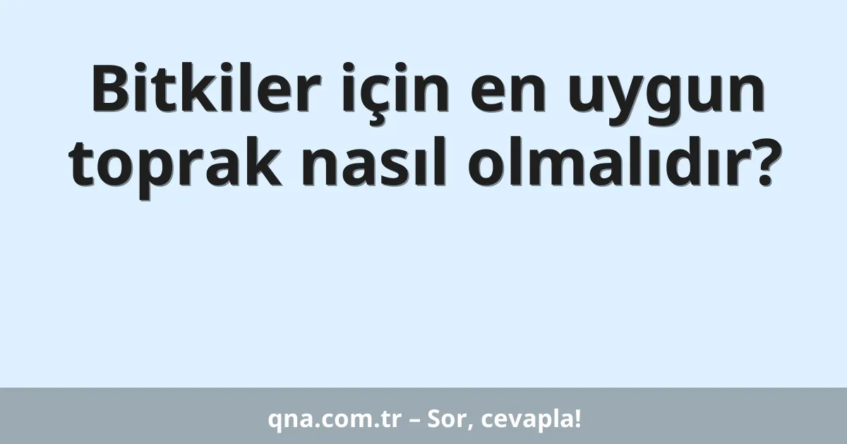 Bitkiler için en uygun toprak nasıl olmalıdır?