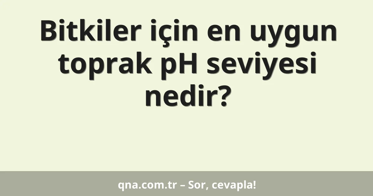 Bitkiler için en uygun toprak pH seviyesi nedir?