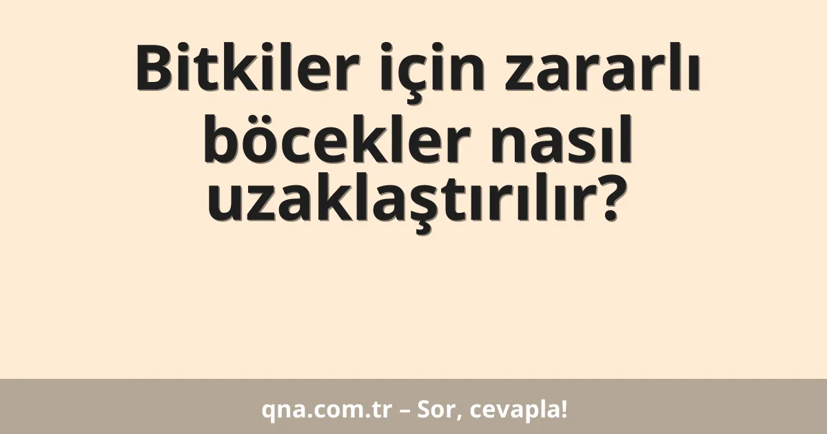 Bitkiler için zararlı böcekler nasıl uzaklaştırılır?